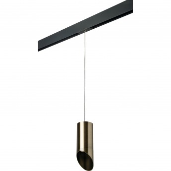 Комплект со светильником LIGHTSTAR PRO Rullo PRORP431431