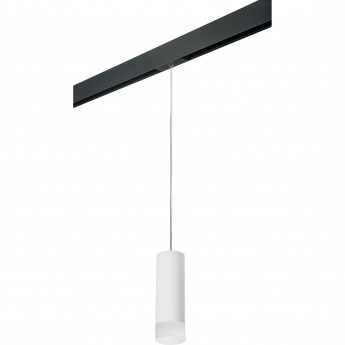 Комплект со светильником LIGHTSTAR PRO Rullo PRORP48631