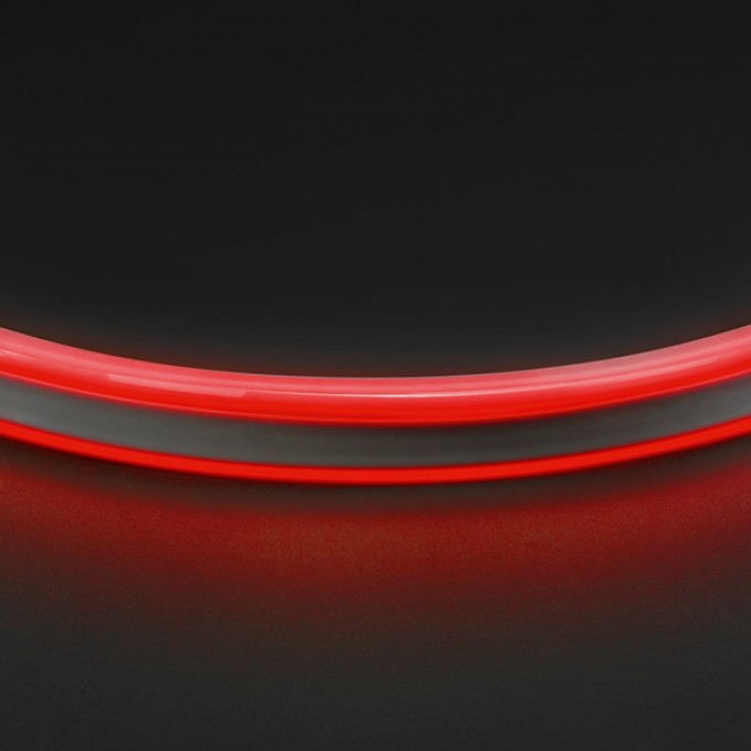 Лента цветного свечения LIGHTSTAR Neoled 430101 Лента цветного свечения LIGHTSTAR Neoled 430101
