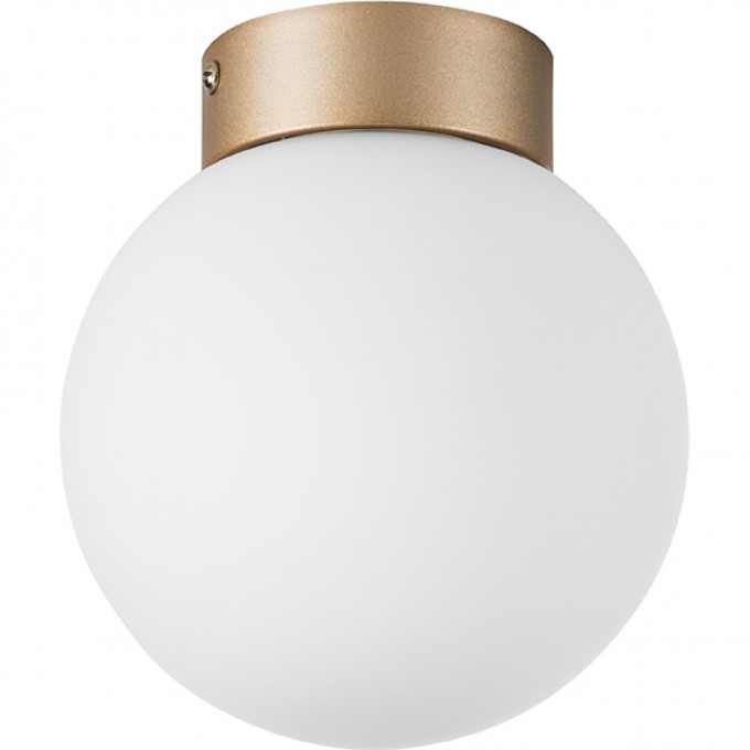 Плафон потолочный LIGHTSTAR GLOBO 812013 Плафон потолочный LIGHTSTAR GLOBO 812013
