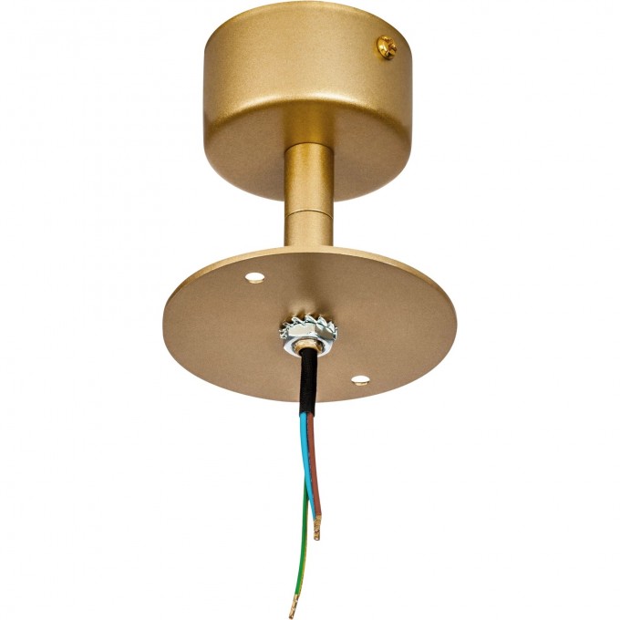 Потолочное крепление LIGHTSTAR RULLO для светильников 213490 GX53/21648x (D80) золото 590110 Потолочное крепление LIGHTSTAR RULLO для светильников 213490 GX53/21648x (D80) золото 590110