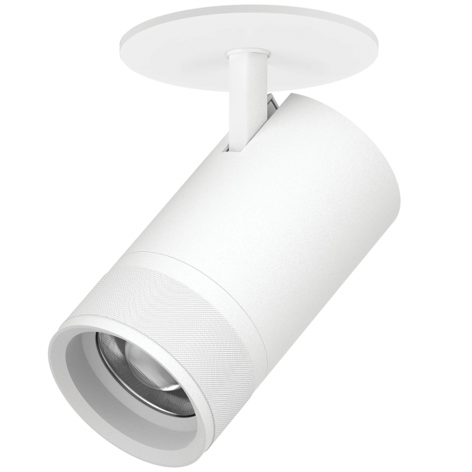 Светильник LIGHTSTAR CANNO PRO встраиваемый 40W 2800LM 20-55G белый C4406RS