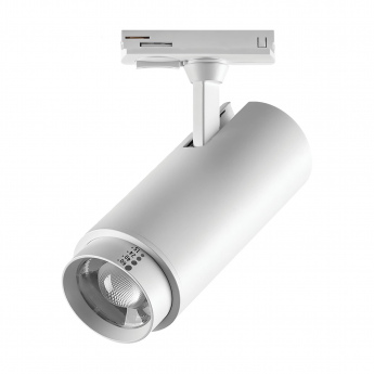 Светильник LIGHTSTAR FUOCO P+CCT 218026