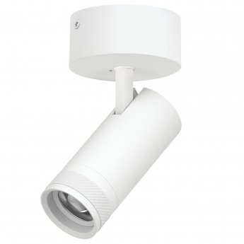 Светильник накладной LIGHTSTAR CANNO PRO C4206SO