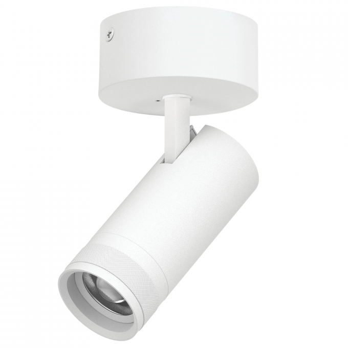 Светильник накладной LIGHTSTAR CANNO PRO C4206SO