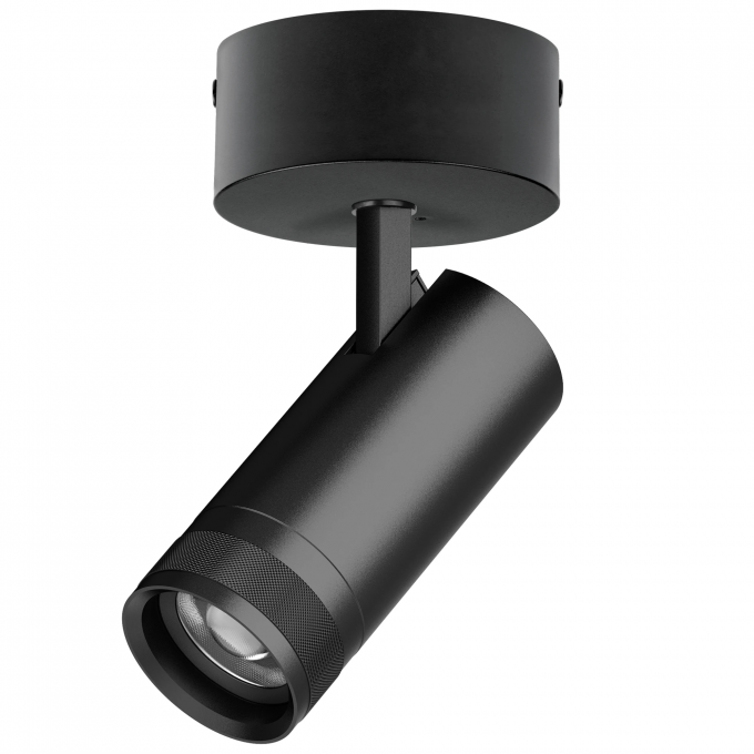 Светильник накладной LIGHTSTAR CANNO PRO C4207SO