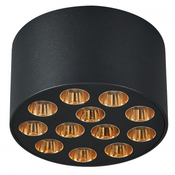 Светильник потолочный LIGHTSTAR GUARDA 080942