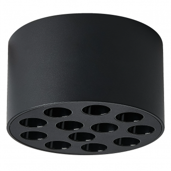 Светильник потолочный LIGHTSTAR GUARDA 080947